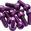 Reverse Vervangingspinnen Voor Black ONE / Escape Pro Pedaal 10 Stuks - Paars -Fiets Bevordering reverse reverse alu pedalpins us fuer escape pro black one base 17